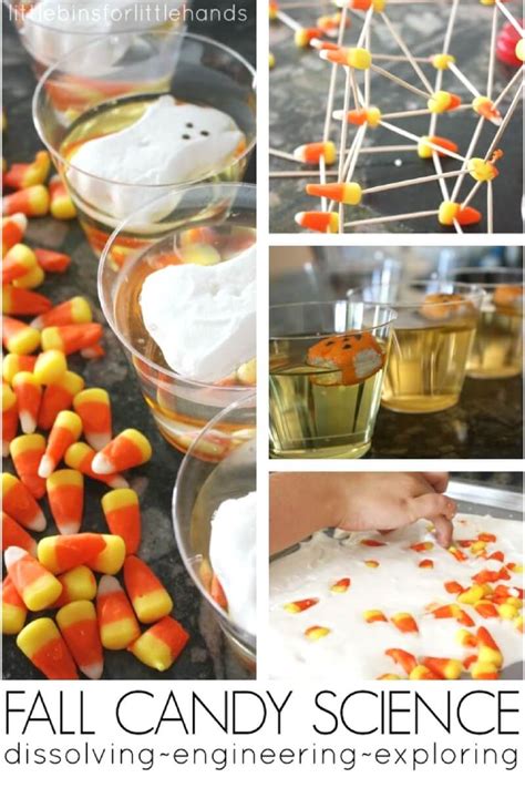 Candy Corn Experiment For Fall Science Little Bins Candy Corn Science - Candy Corn Science
