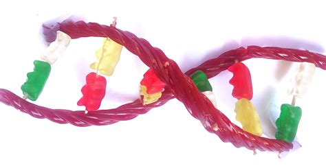 Candy Dna Helix