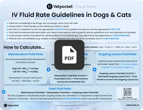 Canine Iv Fluids