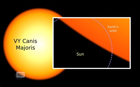 Canis Majoris Vs Sun