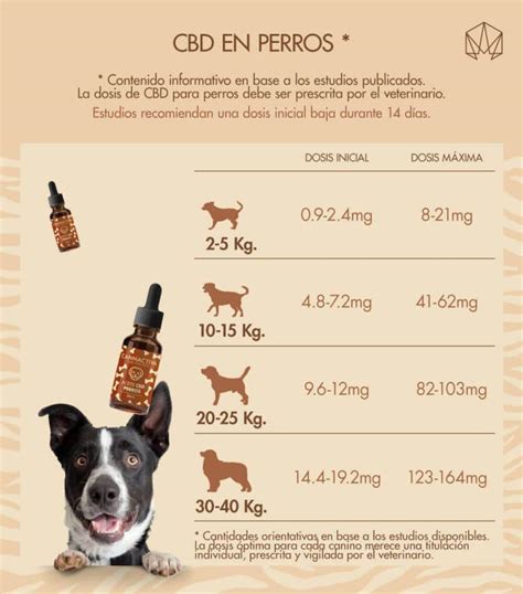 cannabidiol en perros
