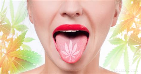 cannabis and dry mouth​