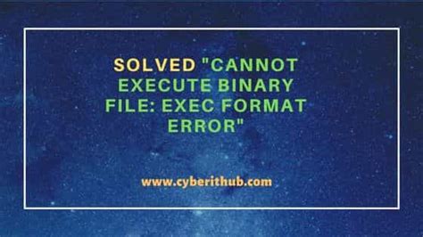 cannot execute binary file sharing s