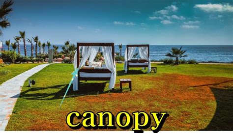 canopy 뜻