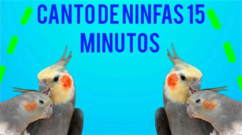 Canto De Ninfas