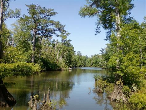 cantonment florida