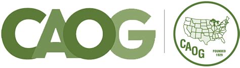 up bet: Apostas Desportivas Online Seguras e Com Proteção de Fundos para Todos os Jogadores - Foto 2