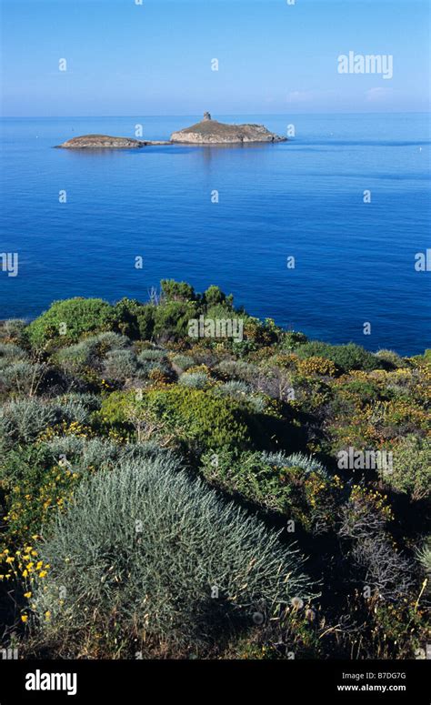 Cap Corse Capandula