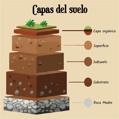 Capas Del Suelo