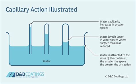 Capillary Action And Water U S Geological Survey Capillary Action Science Experiment - Capillary Action Science Experiment