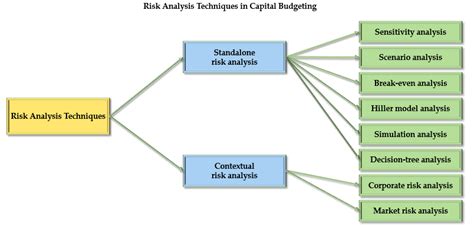 capital budgeting decisions risk analysis