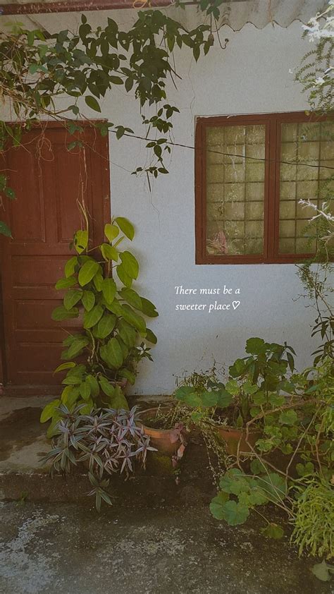 Caption For Greenery
