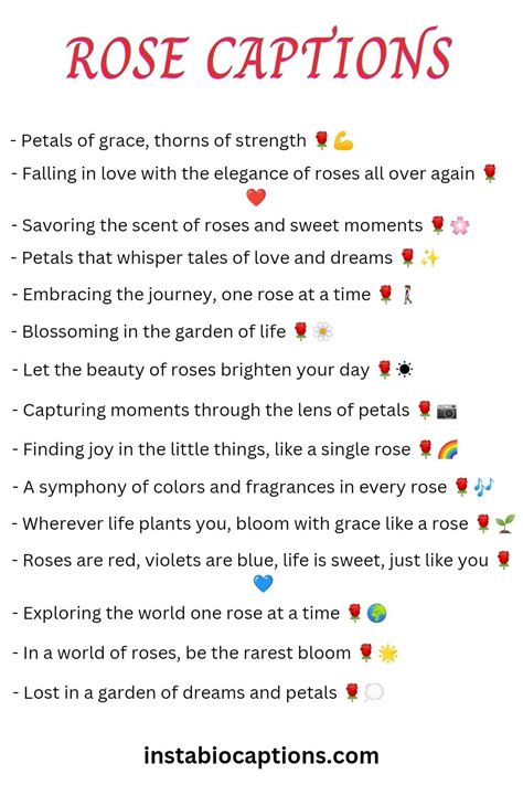 Caption For Roses