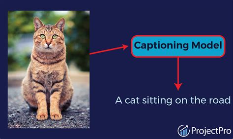 Captioning And Video Description For The Web Wgbh