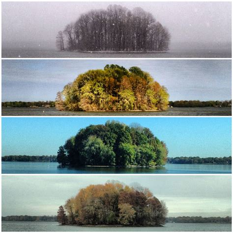 Capturing The Four Seasons In A Single Image Picture Of The 4 Seasons - Picture Of The 4 Seasons
