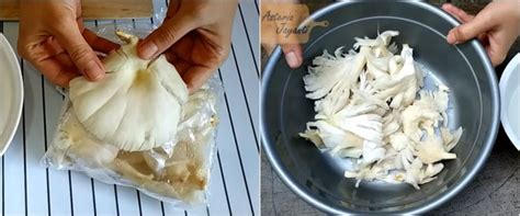 cara memasak jamur tiram agar tidak bau