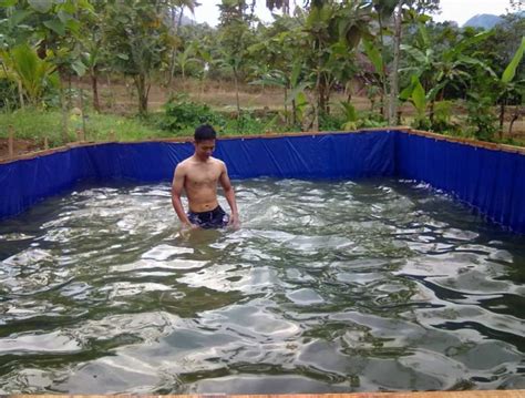 cara membuat kolam terpal diatas tanah