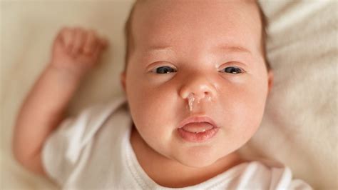 Cara Mengatasi Hidung Tersumbat Pada Bayi Cara Mengatasi Hidung Tersumbat Pada Bayi Newborn - Cara Mengatasi Hidung Tersumbat Pada Bayi Newborn