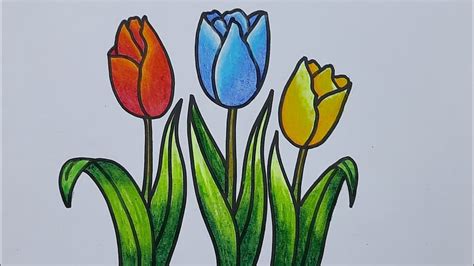 cara menggambar bunga tulip