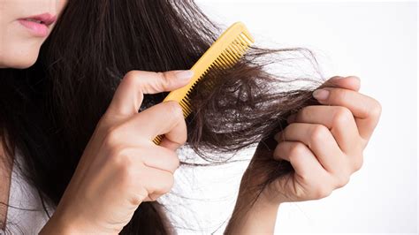cara merawat rambut patah dan kering