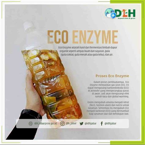 Cara Gampang Bikin Eco Enzyme di Rumah