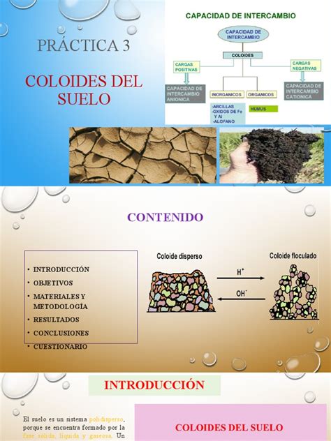 caracteristicas coloides del suelo