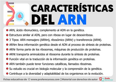 Caracteristicas Del Arn