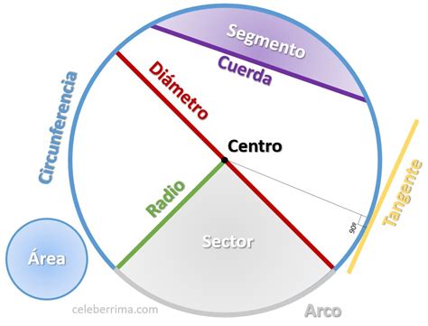 Caracteristicas Del Circulo