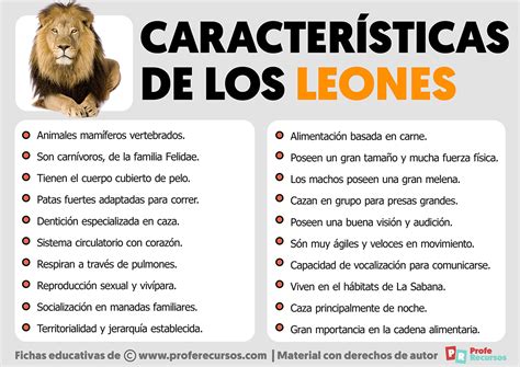 Caracteristicas Del Leon
