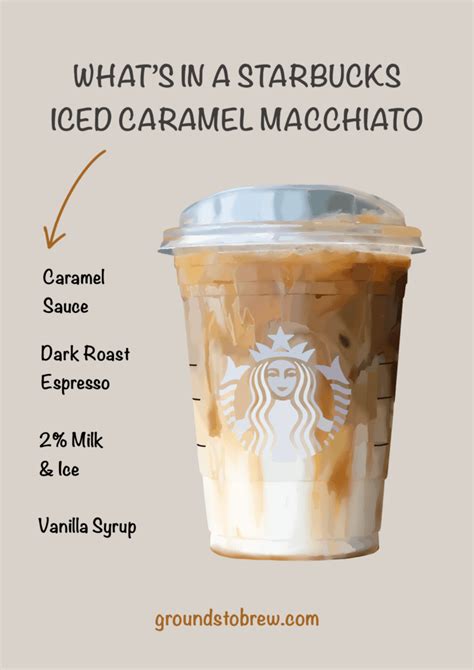 Full Download Caramel Macchiato Calories 