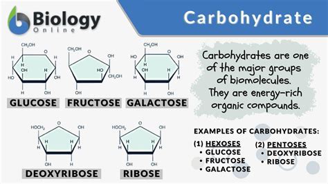 carbohydrate | Chuyn gia dinh dng gii p Carbohydrate