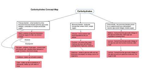 carbohydrate nutrient concept map