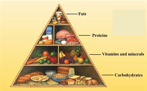 Carbohydrate Pyramid Chapter 9 Food Science Flashcards Carbohydrate Worksheet Answers - Carbohydrate Worksheet Answers