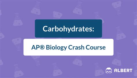 Carbohydrates Ap Biology Crash Course Albert Io Carbohydrates Worksheet Biology - Carbohydrates Worksheet Biology