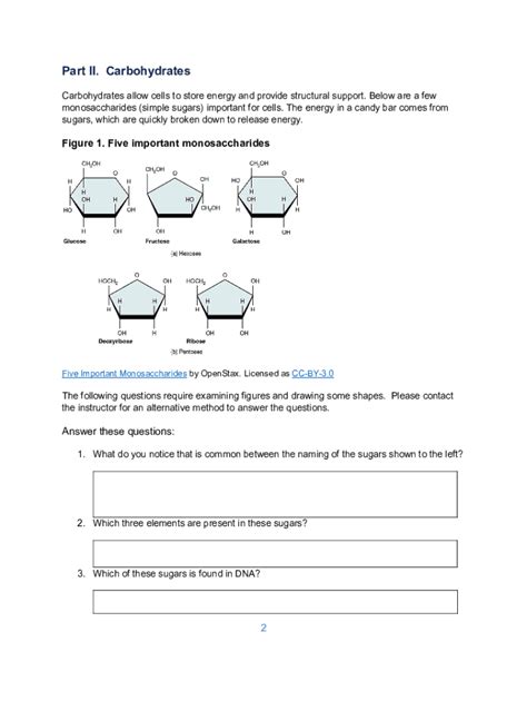 Carbohydrates Article Chemistry Of Life Khan Academy Carbohydrates Worksheet Biology - Carbohydrates Worksheet Biology