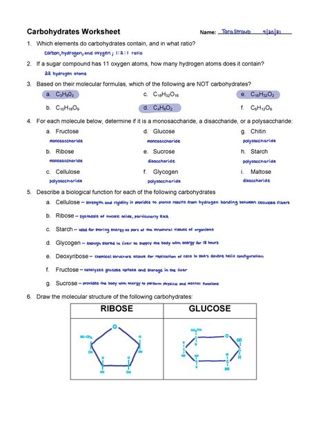 Carbohydrates Chemistry Of Carbohydrates Worksheet Answers - Chemistry Of Carbohydrates Worksheet Answers
