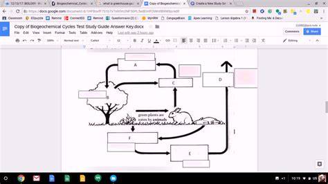 carbon cycle answers