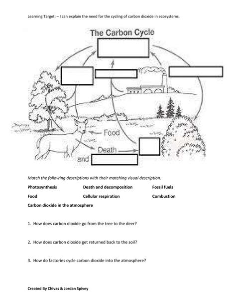 Carbon Cycle Comprehension Worksheet Answers   Pdf Carbon Cycle Reading Weebly - Carbon Cycle Comprehension Worksheet Answers