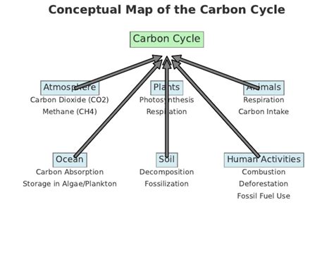 Carbon Cycle Concept Map United Learning