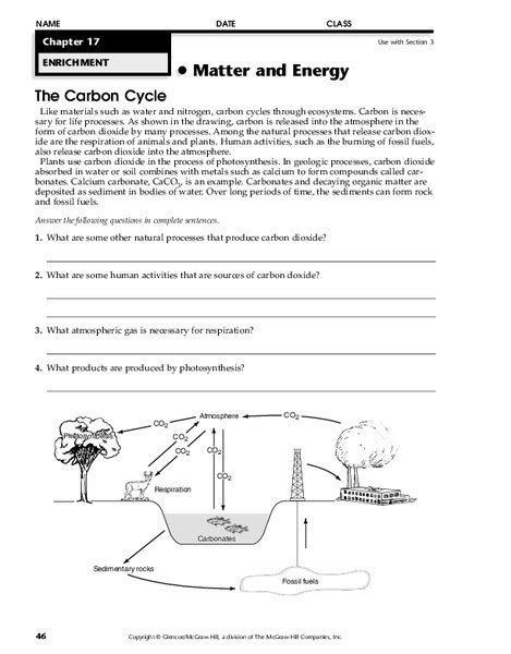 Carbon Cycle Diagram Worksheet Carbon And Nitrogen Cycle Worksheet - Carbon And Nitrogen Cycle Worksheet