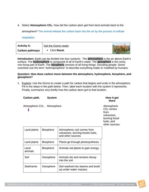 Carbon Cycle Gizmo Answer Key