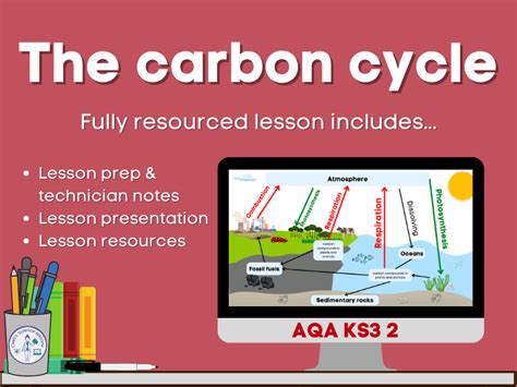 Carbon Cycle Ks3 Year 8 Teaching Resources Carbon Cycle Worksheet Answer Key - Carbon Cycle Worksheet Answer Key