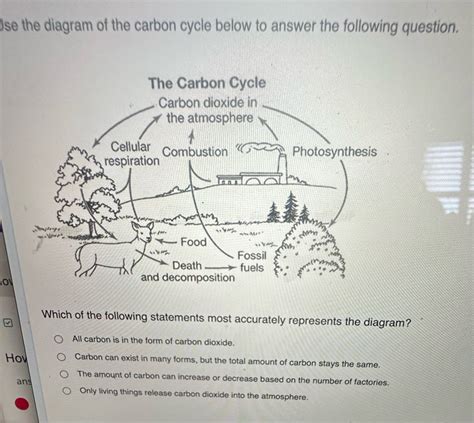 carbon cycle multiple choice questions and answers