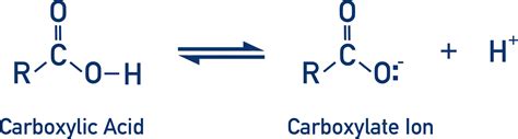 Carboxylate Ion