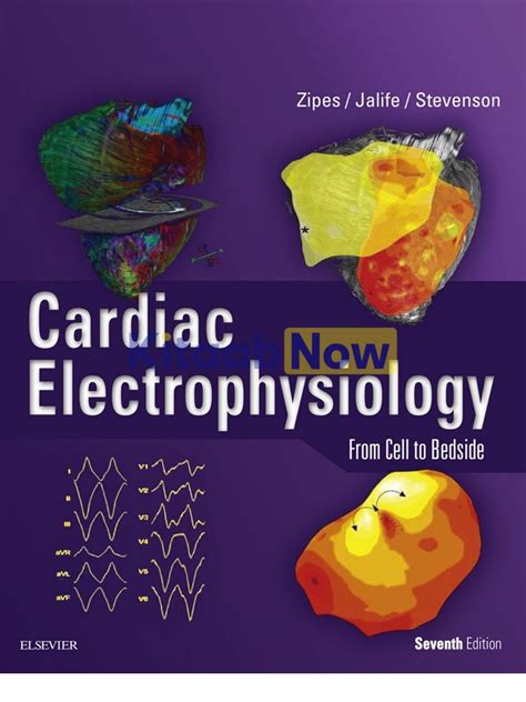 Read Cardiac Electrophysiology From Cell To Bedside 