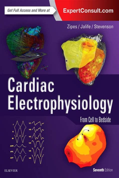 Full Download Cardiac Electrophysiology From Cell To Bedside 4E 