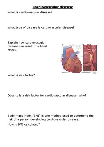 Cardiovascular Diseases Questions And Revision Mme Heart Disease Worksheet - Heart Disease Worksheet