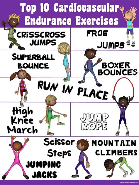 Cardiovascular Endurance Exercises Examples