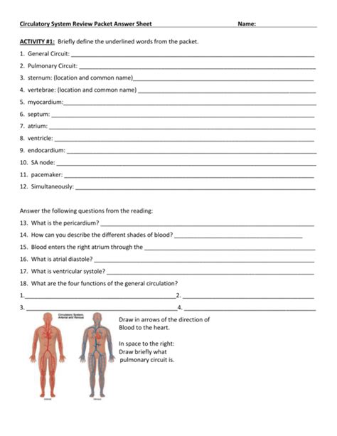 cardiovascular system review packet answer
