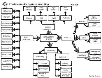 cardiovascular system science mind map